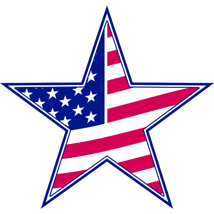 USA National Flag - DTF Transfer Ready To Press | Adult & Youth Sizes