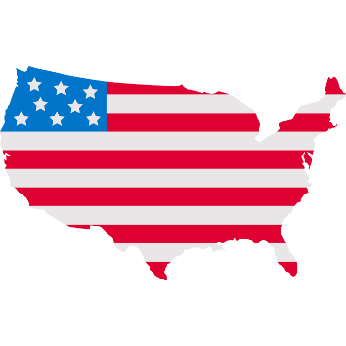 USA National Flag - DTF Transfer Ready To Press | Adult & Youth Sizes