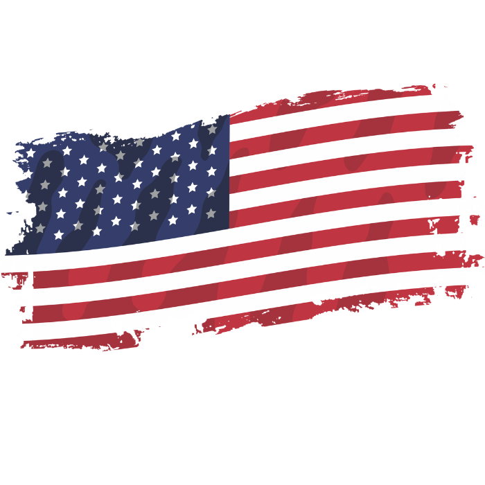 USA National Flag - DTF Transfer Ready To Press | Adult & Youth Sizes
